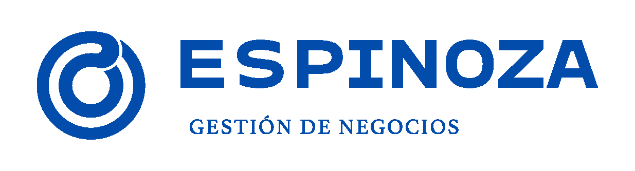 espinozagn.mx